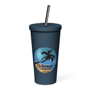 Insulated tumbler with a straw